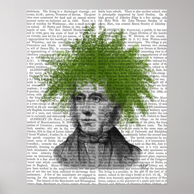 Huvud för Asparagus Fern Head Plant Poster (Framsidan)