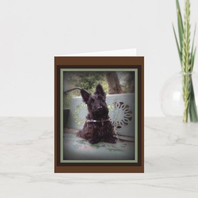 Huvud lutning tack kort (Framsida)