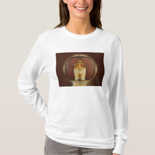 Huvud- och sammansättningögon av en svävandeflu tee shirt