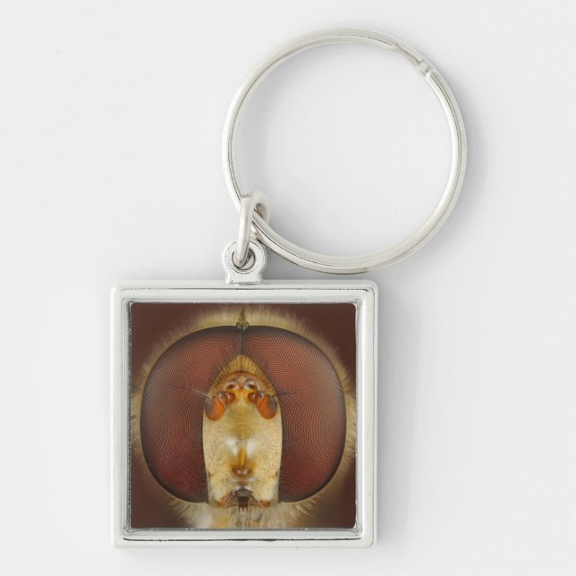 Huvud- och sammansättningögon av en svävandefluga fyrkantig silverfärgad nyckelring (Framsidan)