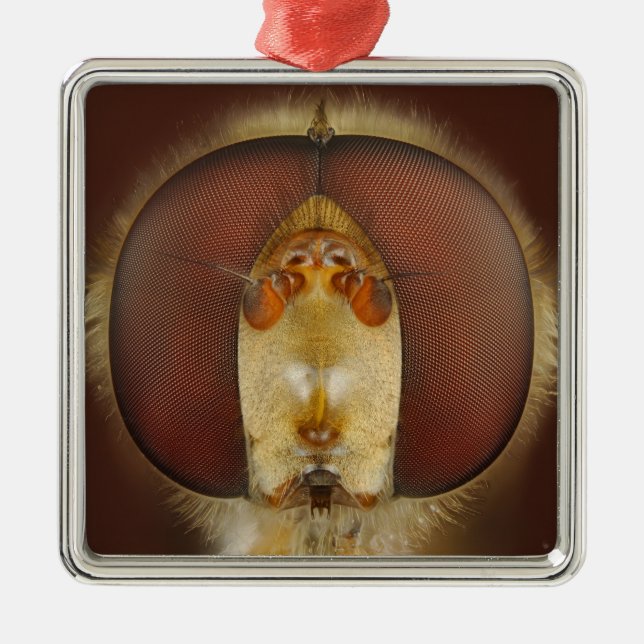 Huvud- och sammansättningögon av en svävandefluga julgransprydnad metall (Framsidan)