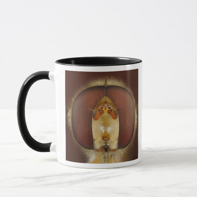 Huvud- och sammansättningögon av en svävandefluga mugg (Vänster)