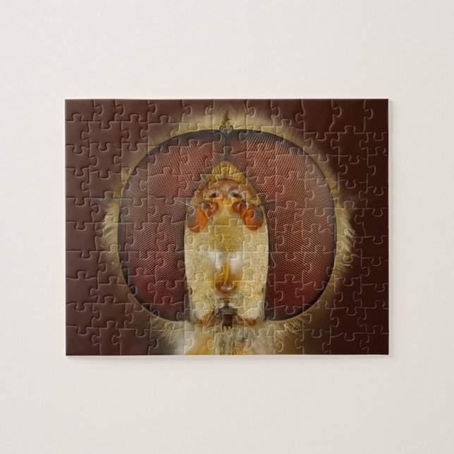 Huvud- och sammansättningögon av en svävandefluga pussel (Horisontell)