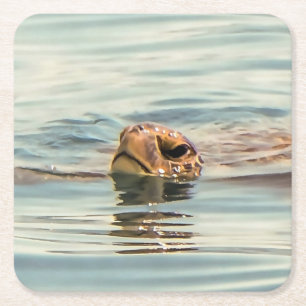 Huvud ovanför Vatten Turtle Ocean Wildlife Art Underlägg Papper Kvadrat