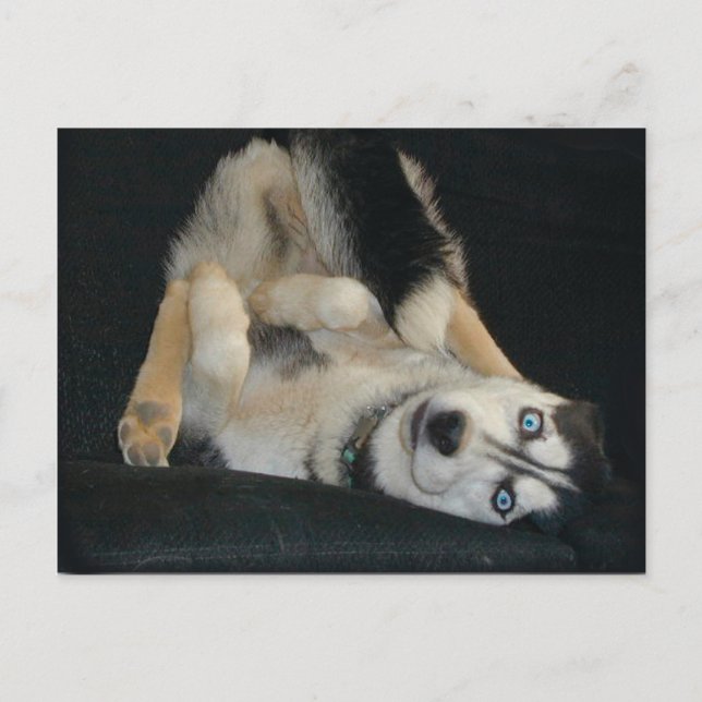 Huvud över vykort (Framsida)