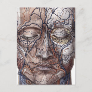 Huvud Veins och Muscles Vykort