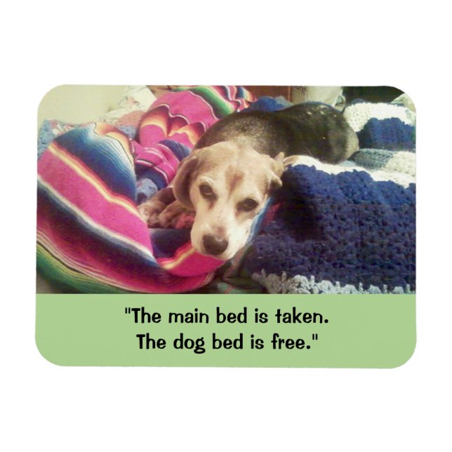 "Huvudbed taget/Hund Bed Free" 3x4 fotomagnet Magnet (Horisontell)