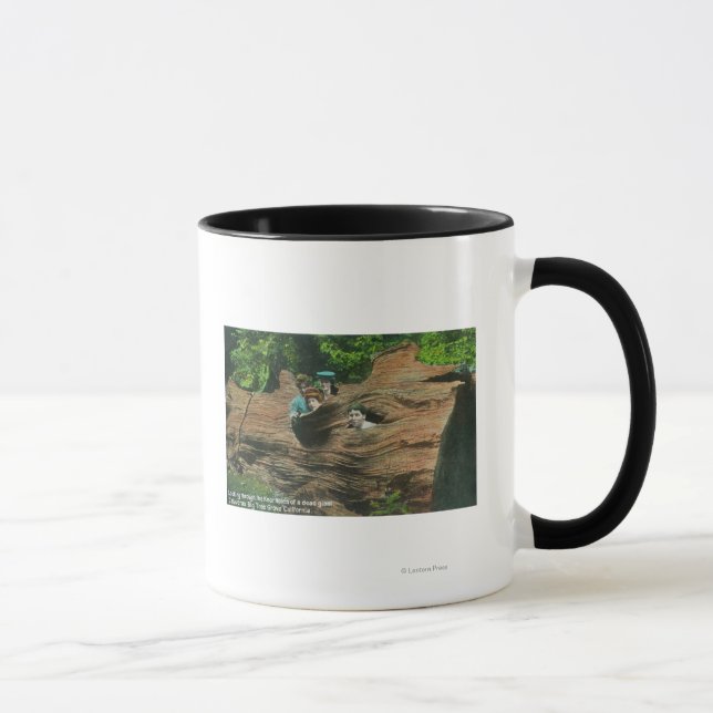 Huvuden exponerade i Knot Hål av Giant Redwood Mugg (Höger)