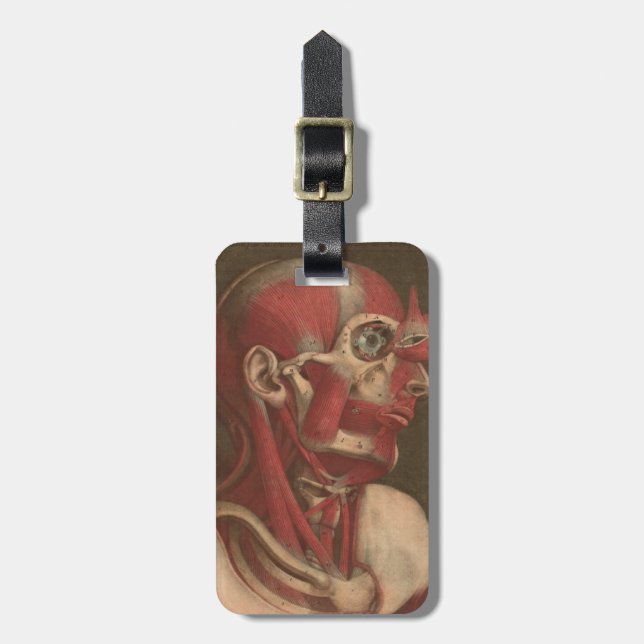 Huvudet för vintageanatomi |, nacke, och knuffar bagagebricka (Vertikal Framsida)