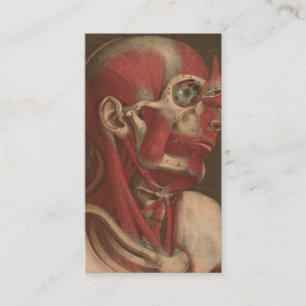 Huvudet för vintageanatomi  , nacke, och knuffar visitkort