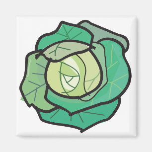 huvudkål magnet