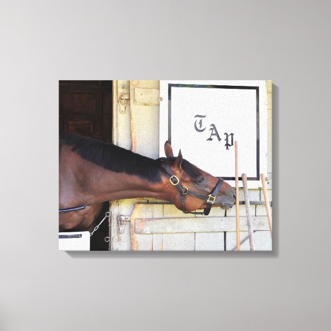 Huvudplan Canvastryck (Framsida)