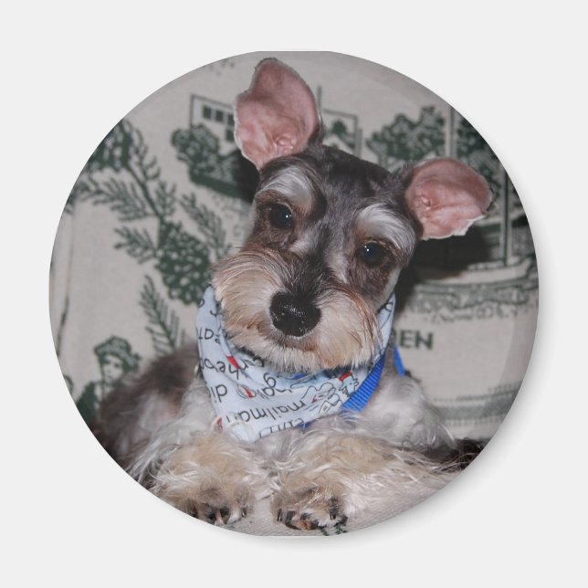 Huvudrutan Magnet (Framsidan)