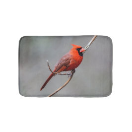 Huvudsaklig badmatta badrumsmatta