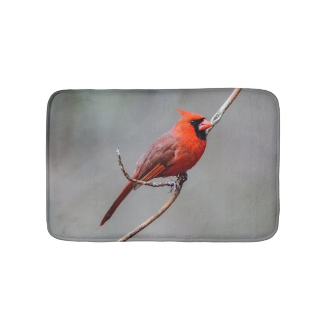 Huvudsaklig badmatta badrumsmatta (Framsidan)