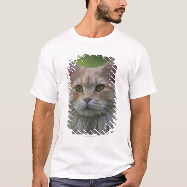 Huvudsaklig coonkatt t-shirt (Framsida)