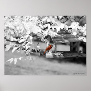 Huvudsaklig Infrared Poster