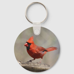Huvudsaklig keychain nyckelring