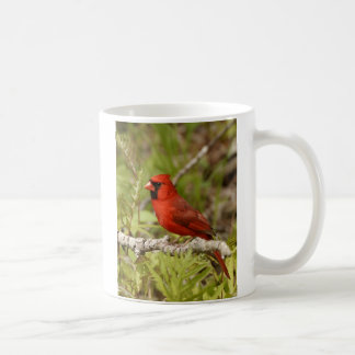 Huvudsaklig mugg