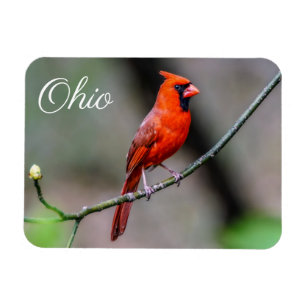 Huvudsaklig Ohio magnet