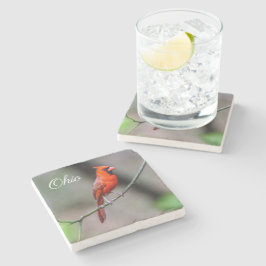 Huvudsaklig Ohio stenkustfartyg Stenunderlägg