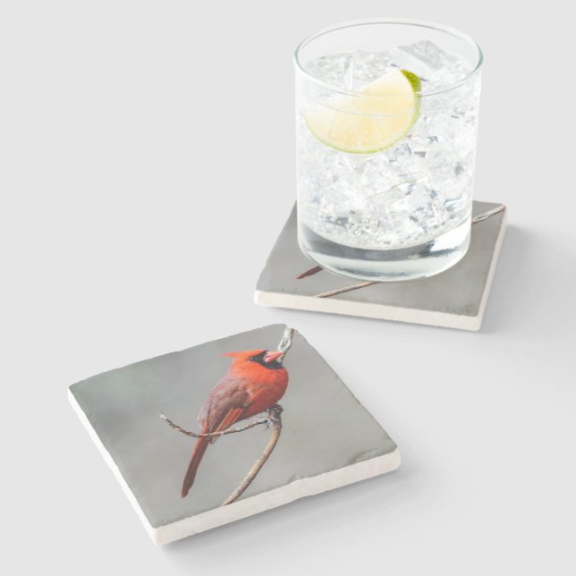 Huvudsaklig stenkustfartyg stenunderlägg (Sidan)