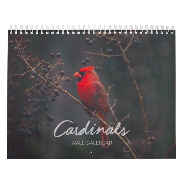 Huvudsaklig väggkalender kalender (Omslag)