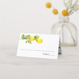 Huvudsakliga Squeeze Citron Namn Platskort Placeringskort