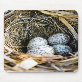 Huvudsakligt ägg Mousepad Musmatta