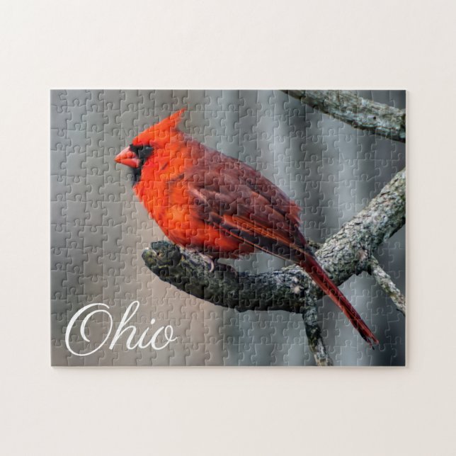 Huvudsakligt Ohio pussel (Horisontell)