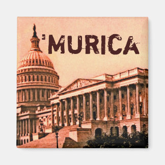Huvudstad Byggande Washington DC Murica America 19 Magnet