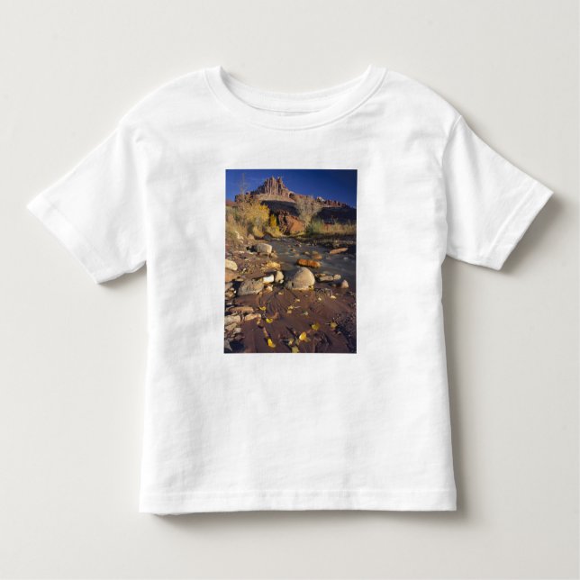 HUVUDSTAD REEF NATIONAL PARK, UT, US, Cottonwood Tee (Framsida)