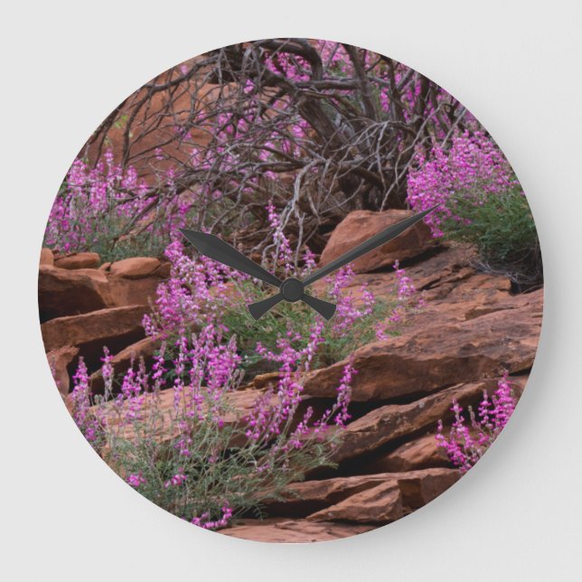 Huvudstad Reef National Park, Utah, Förenta stater Stor Klocka (Framsida)