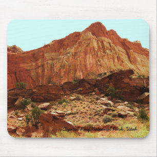 Huvudstadrevnationalpark, Utah Musmatta