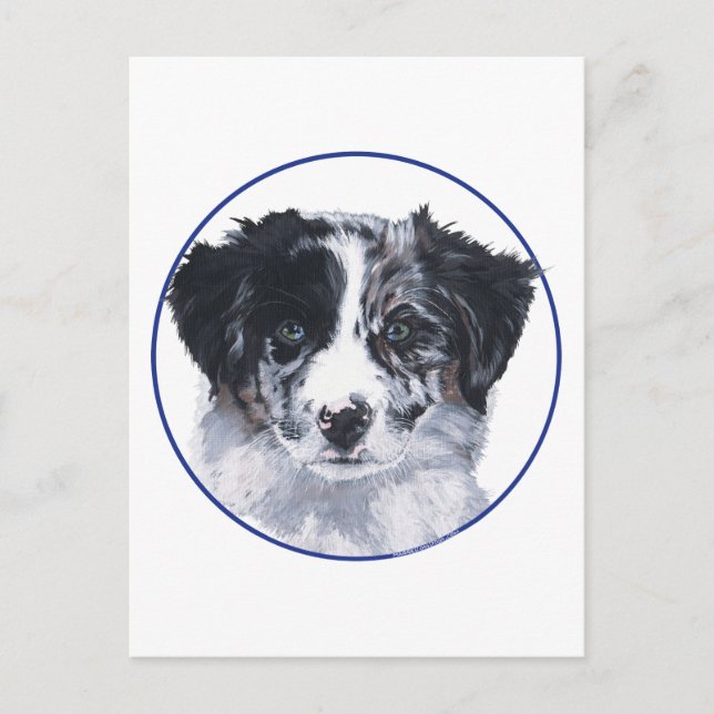 Huvudstudie av Border Collie Vykort (Framsida)