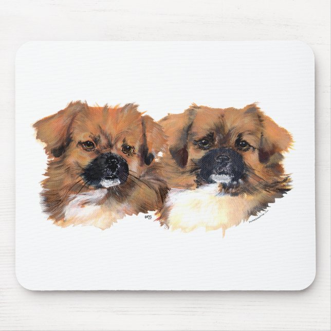 Huvudstudie av tibetanska spaniels musmatta (Framsidan)