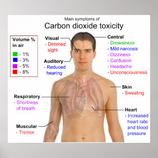 Huvudsymptom på diagram över koloxidtoxicitet poster