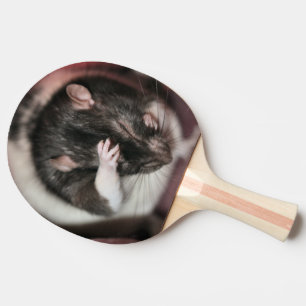 Huvudvärk Pingisracket