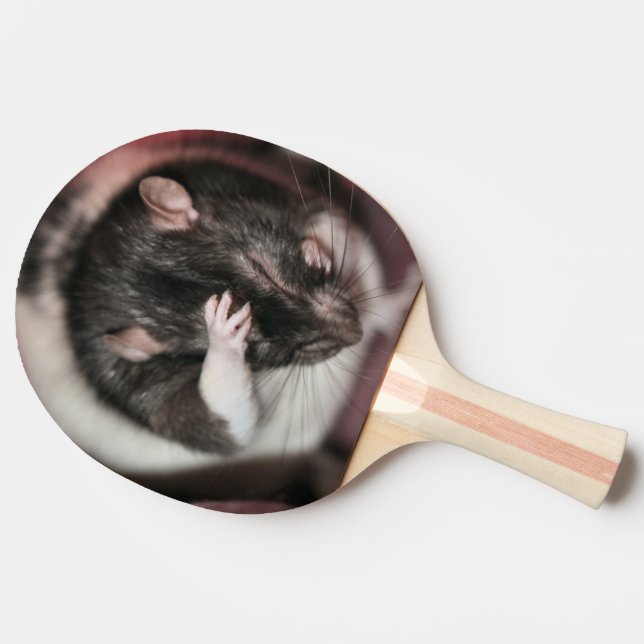 Huvudvärk Pingisracket (Sidan)