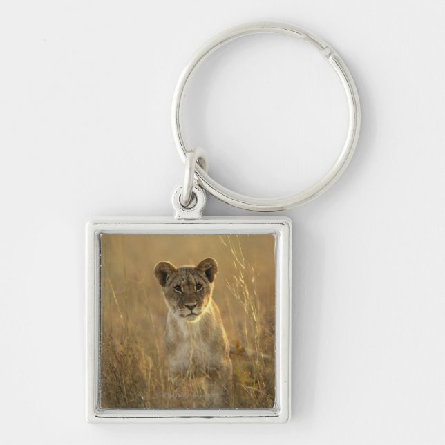 Hwange nationalpark, Zimbabwe. Fyrkantig Silverfärgad Nyckelring (Framsidan)