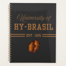Hy-Brasils universitet, Est. 1325