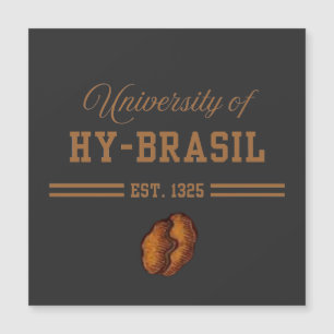 Hy-Brasils universitet, Est. 1325