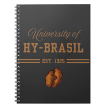 Hy-Brasils universitet, Est. 1325