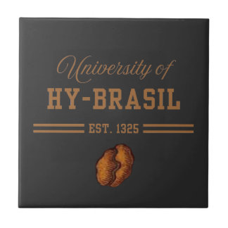 Hy-Brasils universitet, Est. 1325 Kakelplatta