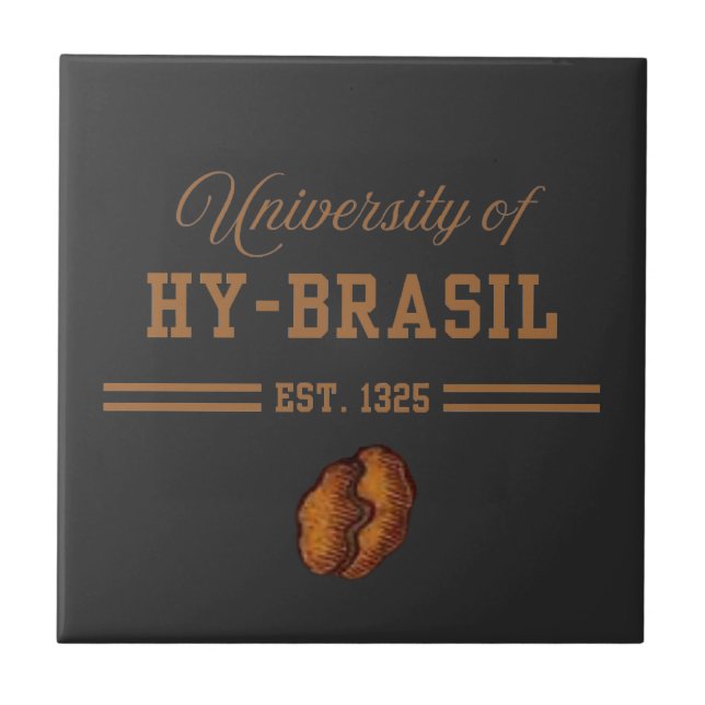 Hy-Brasils universitet, Est. 1325 Kakelplatta (Framsidan)