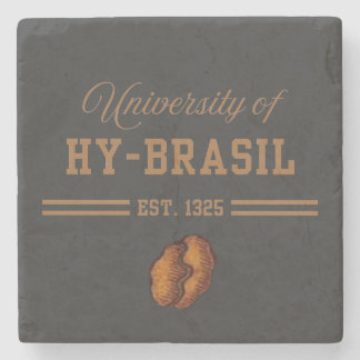 Hy-Brasils universitet, Est. 1325 Stenunderlägg