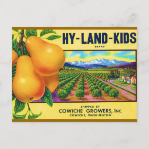 Hy-Land-Kids Pears Vykort