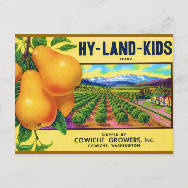 Hy-Land-Kids Pears Vykort (Framsida)