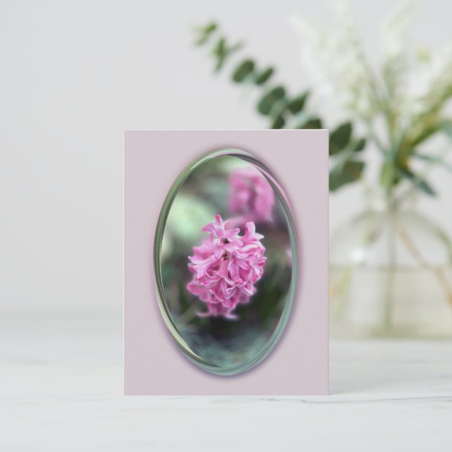 Hyacint i vår (Stående Fram)