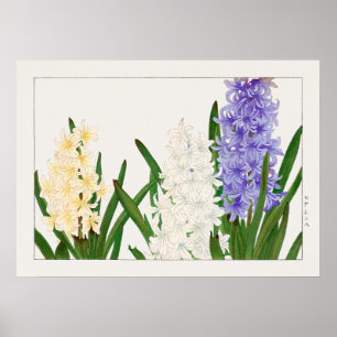 Hyacint, Lila White & Gula blommor av Konan. Poster